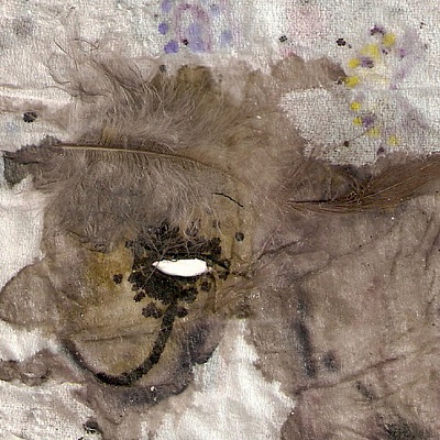 Martin Cihlář